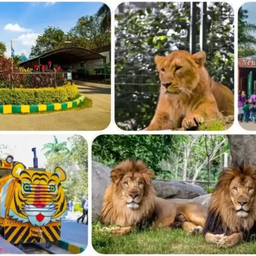 Zoo park