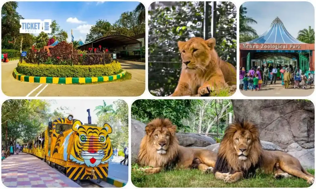 Zoo park