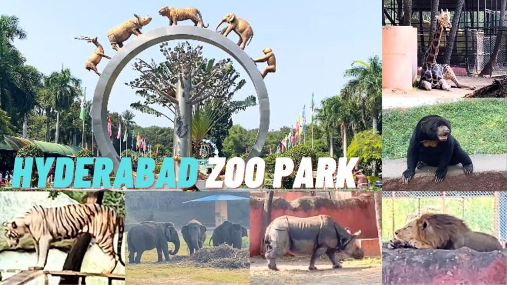 Zoo park