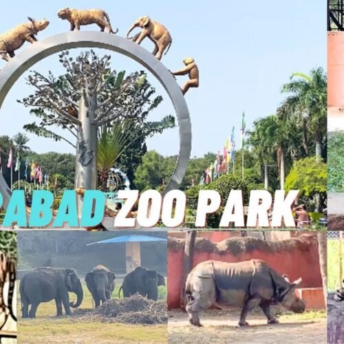 Zoo park